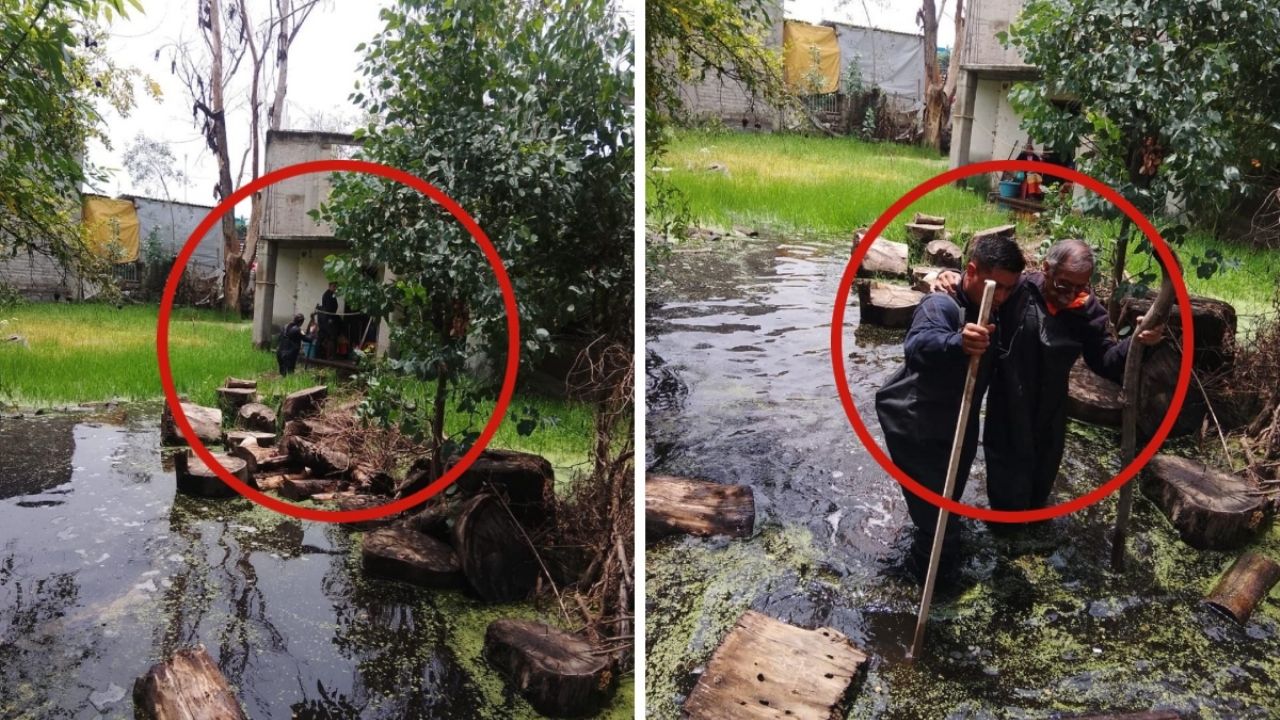 Dos adultos mayores son rescatados tras quedar atrapados 10 días en su casa por inundaciones | VIDEO